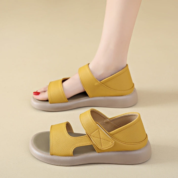 Lightweight Women&