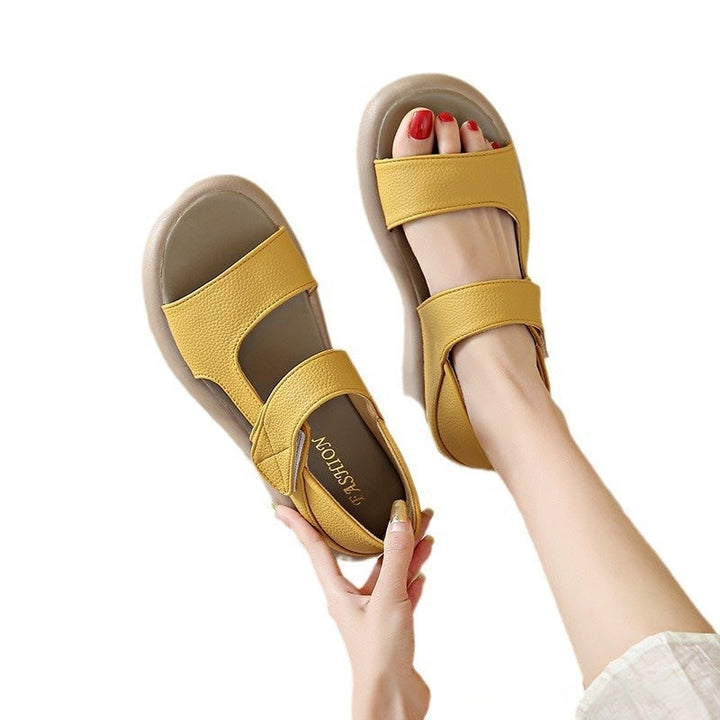 Lightweight Women&