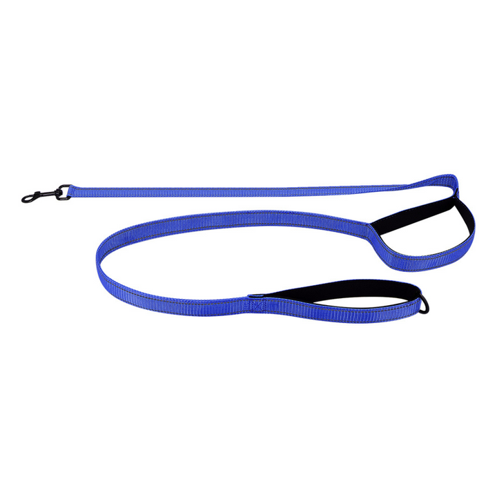 Reflective Dual-Handle Dog Leash – Traffic Handle, Nighttime Visibility, Fall 2025 Pet Safety