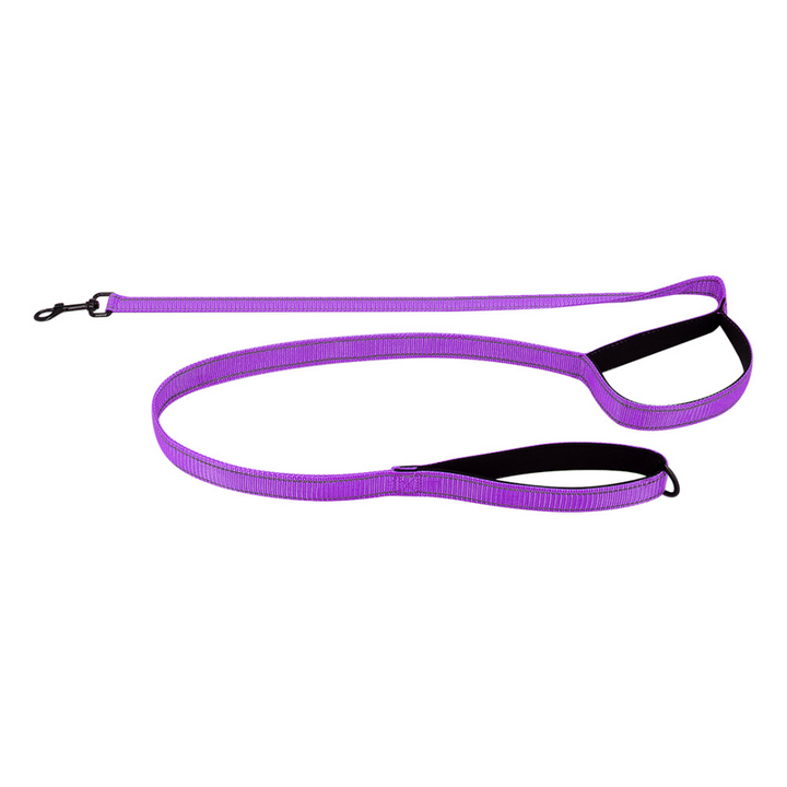 Reflective Dual-Handle Dog Leash – Traffic Handle, Nighttime Visibility, Fall 2025 Pet Safety