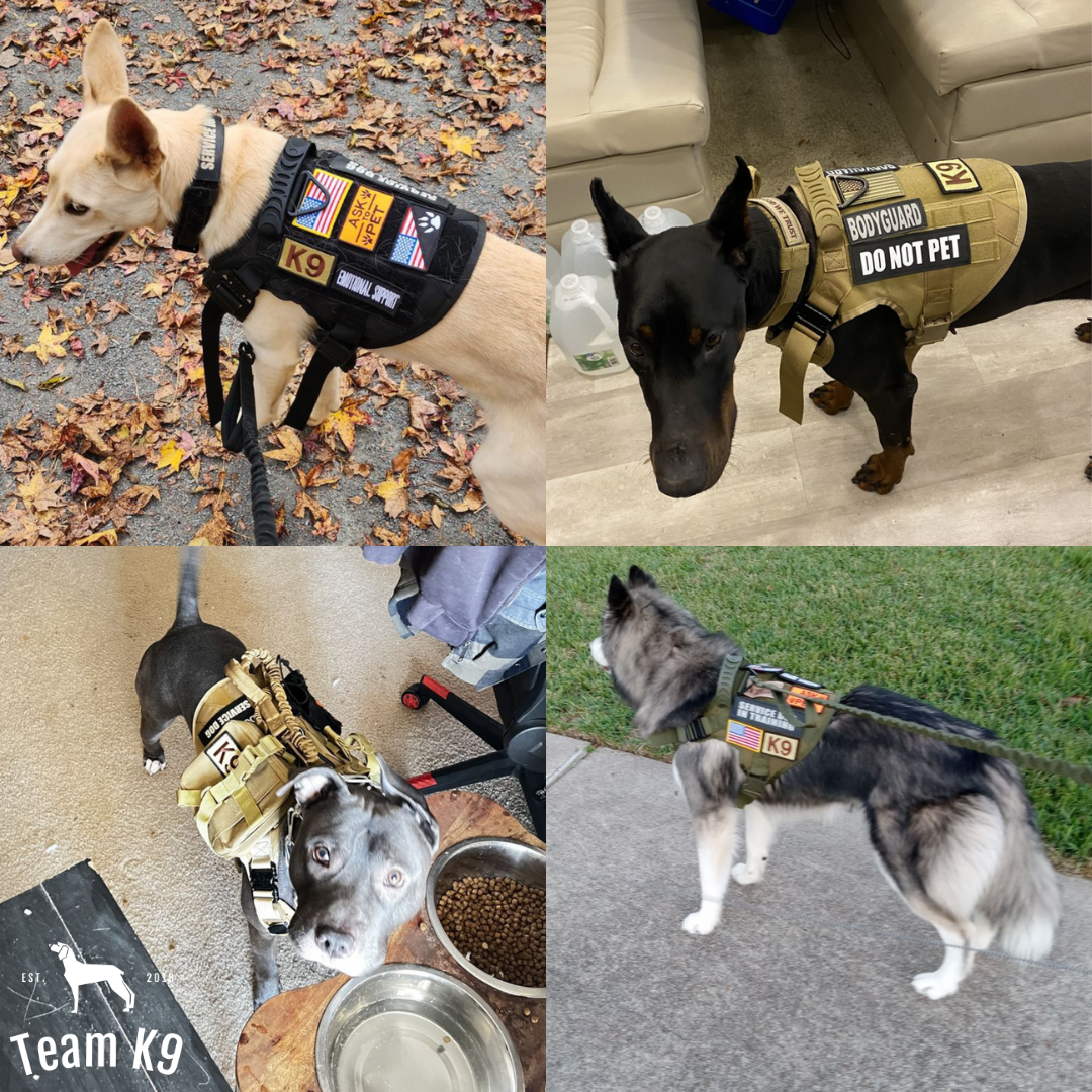 Tactical Dog Harness No-Pull With Front And Back D-Rings Quick-Release Buckles Top Handle Heavy-Duty Training