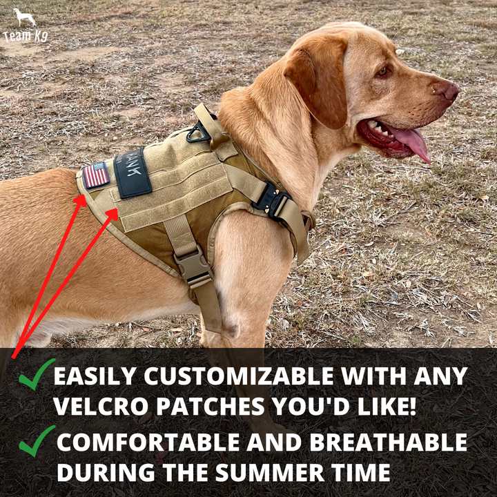 Tactical Dog Harness System All-In-One Training Bundle No-Pull Harness MOLLE Pouches Travel Water Bowl Holiday 2025