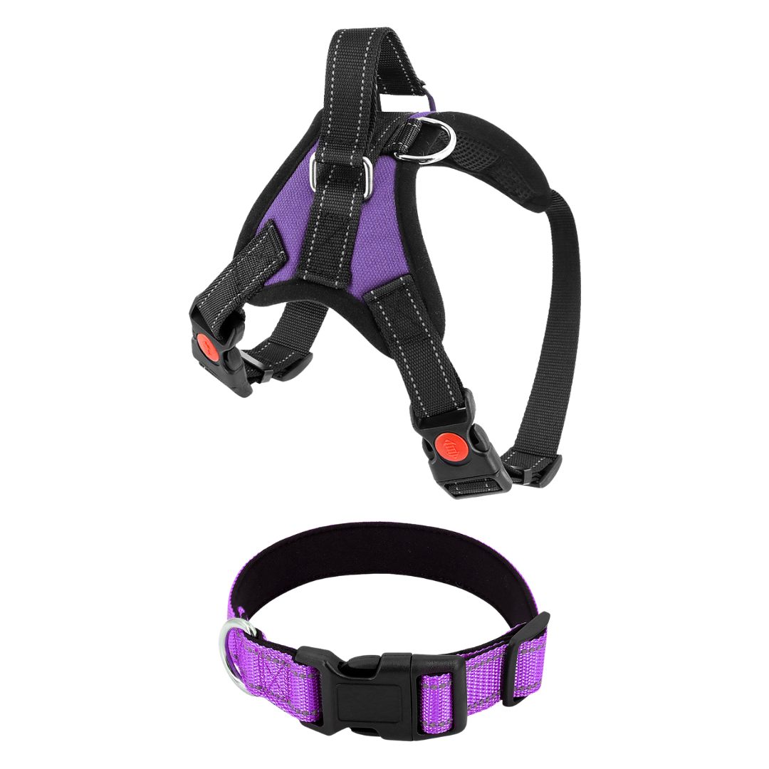 Dog Harness No-Choke Adjustable Safety Harness Fall 2025 Trend Breathable Padding For Gentle Control