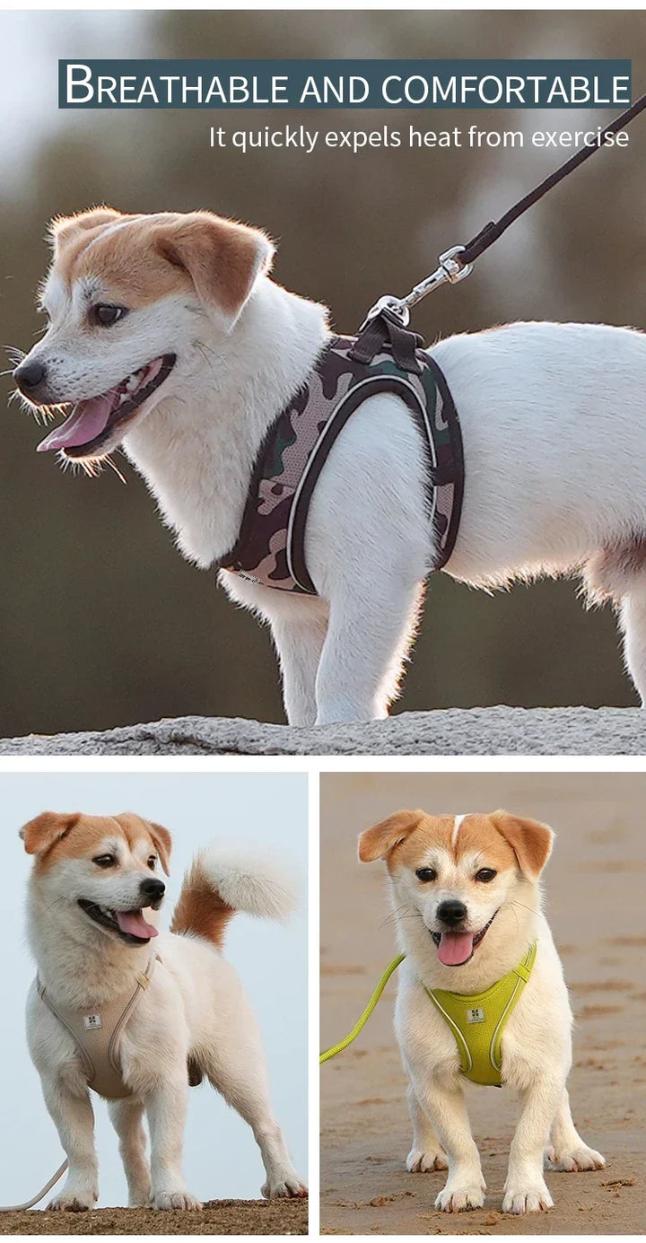 Dog Harness Leash Set Reflective Padded Vest All Seasons Outdoor Walking Gift Idea