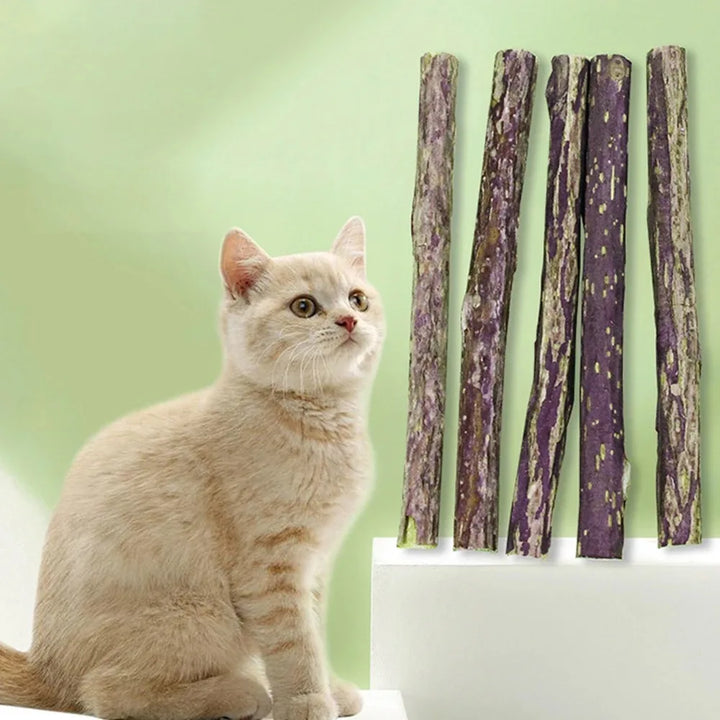 Natural Matatabi Cat Chew Sticks 15-Pack - Silvervine Catnip Dental Toy for Teeth Cleaning