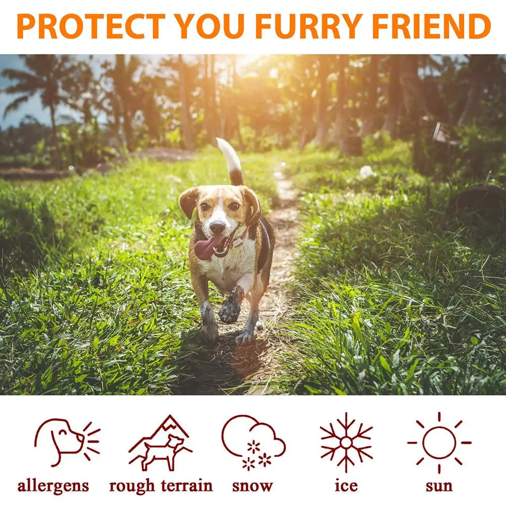 Pet Paw Balm for Dogs &amp; Cats - Moisturizing Foot Care Cream, Protective Oil for Winter Paw Health