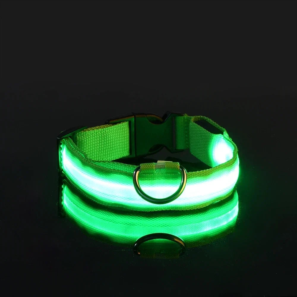 LED Dog Collar Glow In The Dark Night Safety Luminous Fall 2026 Trend Perfect Gift Idea
