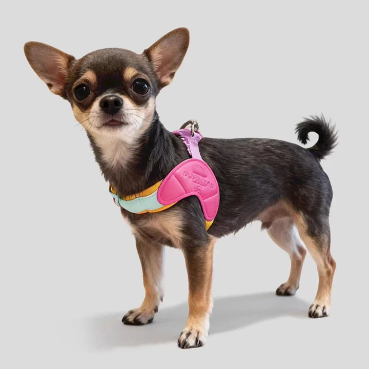 Dog Harness Y Shaped Adjustable Chest Straps Polyester Blends Summer 2026 Outdoor Use Easy Fit
