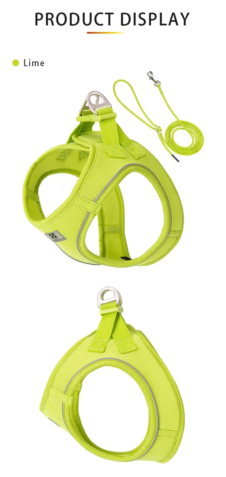 Dog Harness Leash Set Reflective Padded Vest All Seasons Outdoor Walking Gift Idea