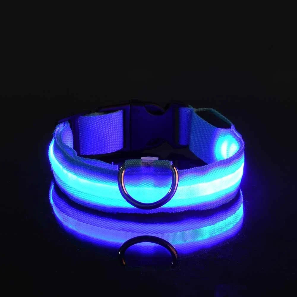 LED Dog Collar Glow In The Dark Night Safety Luminous Fall 2026 Trend Perfect Gift Idea