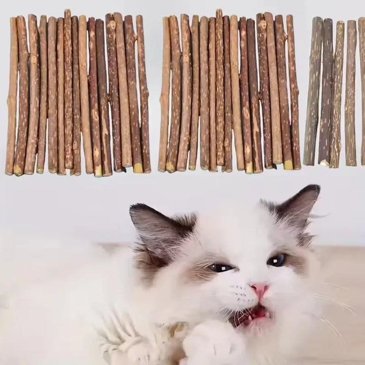 Natural Matatabi Cat Chew Sticks 15-Pack - Silvervine Catnip Dental Toy for Teeth Cleaning