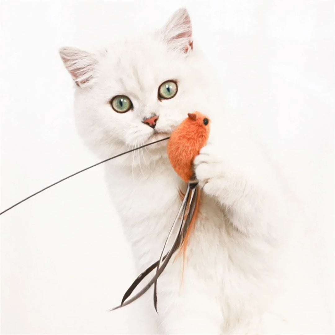 Simulated Bird Cat Toys - Upgraded Feather Teasing Stick, Long Rod with Steel Wire, Cat Safe Fun