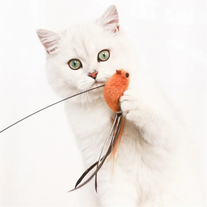 Simulated Bird Cat Toys - Upgraded Feather Teasing Stick, Long Rod with Steel Wire, Cat Safe Fun
