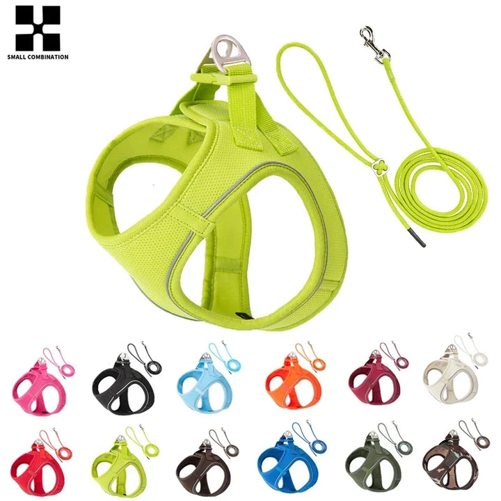 Dog Harness Leash Set Reflective Padded Vest All Seasons Outdoor Walking Gift Idea