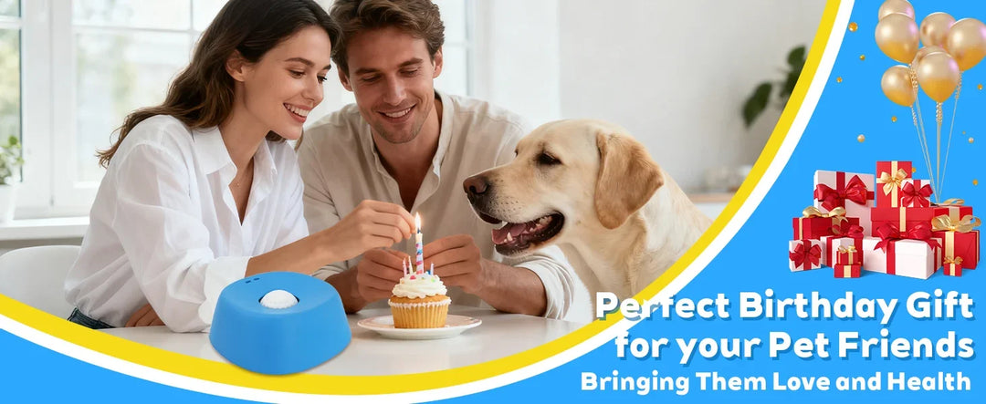Anti-Slip Slow Feeder Dog Bowl – Ball-Shaped Lick Mat Anti-Choke Design, Pet Feeding Gift 2026