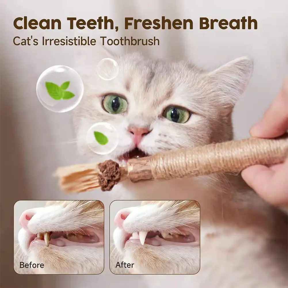 Natural Silver Vine Cat Dental Chew Rod - Bite-Resistant Matatabi Teeth Cleaning Toy