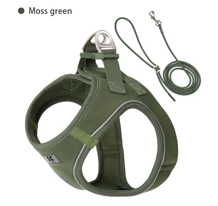 Dog Harness Leash Set Reflective Padded Vest All Seasons Outdoor Walking Gift Idea