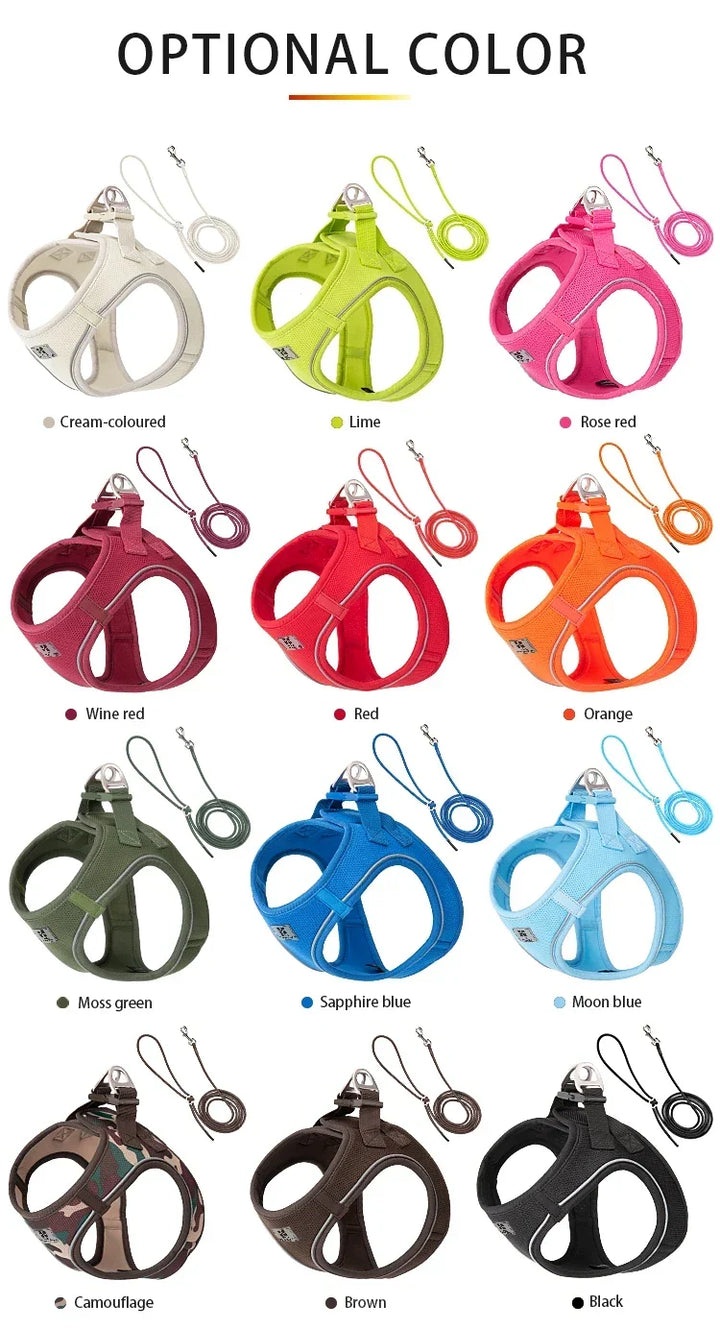 Dog Harness Leash Set Reflective Padded Vest All Seasons Outdoor Walking Gift Idea