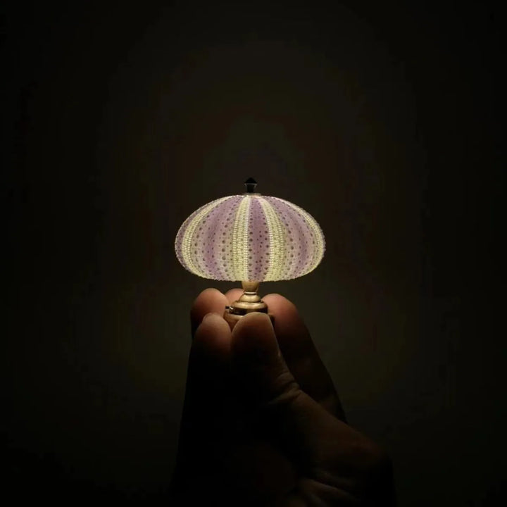 Popular Retro Sea Urchin Night Lamp - Children&