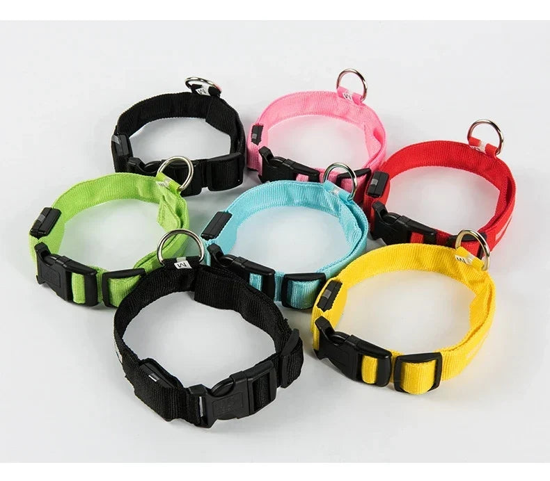 LED Dog Collar Glow In The Dark Night Safety Luminous Fall 2026 Trend Perfect Gift Idea