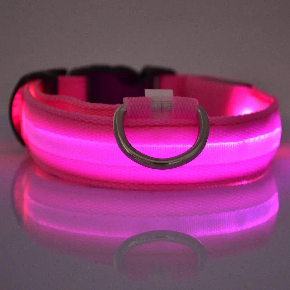 LED Dog Collar Glow In The Dark Night Safety Luminous Fall 2026 Trend Perfect Gift Idea