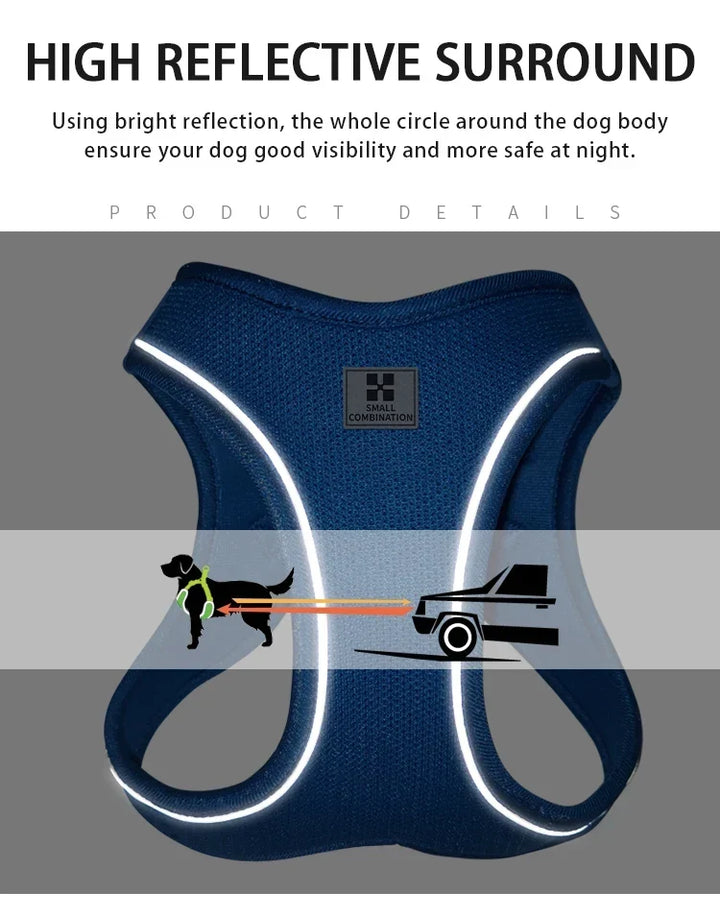 Dog Harness Leash Set Reflective Padded Vest All Seasons Outdoor Walking Gift Idea