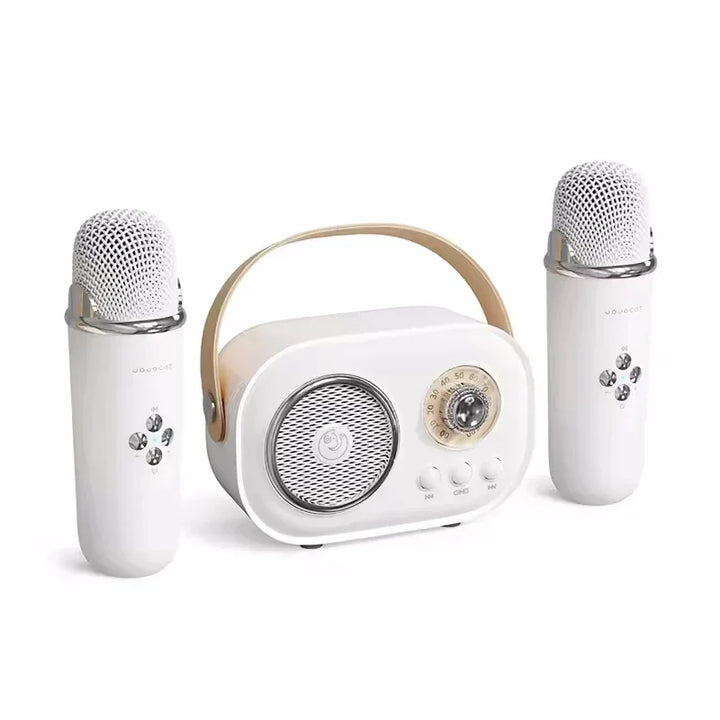 Karaoke Portable Bluetooth Speaker With Microphone Mini FM Radio Back To School 2025 Gift Idea