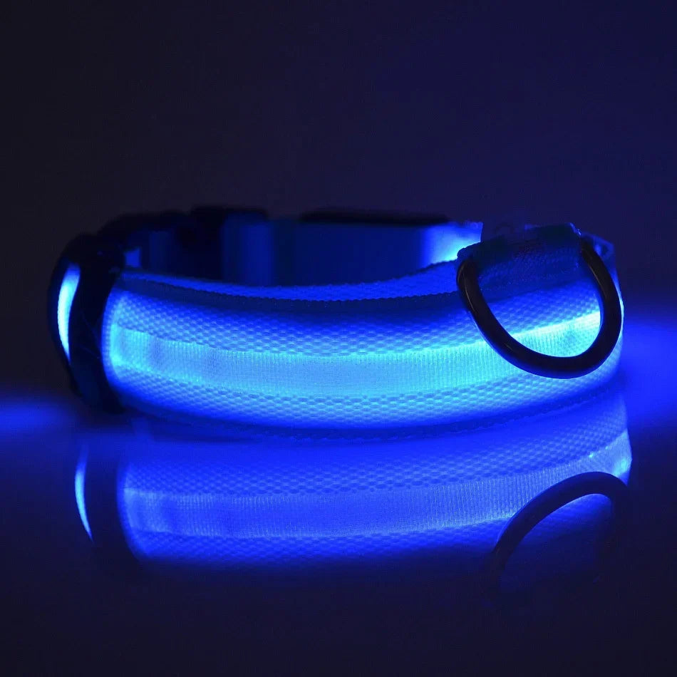 LED Dog Collar Glow In The Dark Night Safety Luminous Fall 2026 Trend Perfect Gift Idea