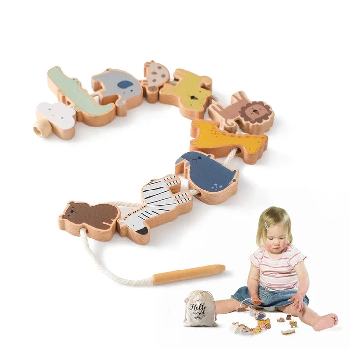 Wooden Stacking Toy Set for Babies and Toddlers, Montessori Animal Threading Toy, Educational Fine Motor Skills Development