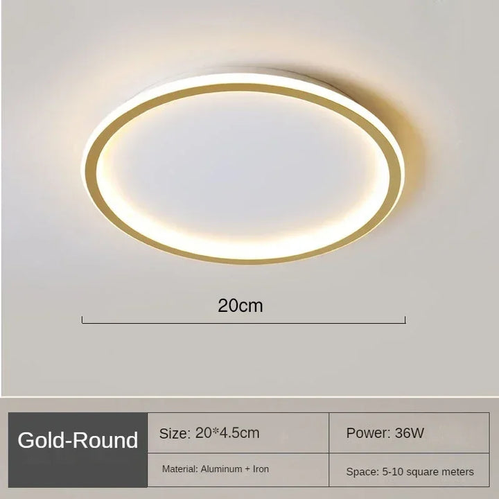 LED Ceiling Light Nordic Minimalist Circular with Remote Control Energy Efficient Home Decor TikTok Viral Fall 2026