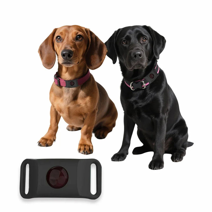 Natural Extract Pet Flea &amp; Tick Repellent Collar Tag Dogs Cats All Seasons Safe Wearable