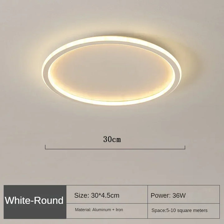 LED Ceiling Light Nordic Minimalist Circular with Remote Control Energy Efficient Home Decor TikTok Viral Fall 2026