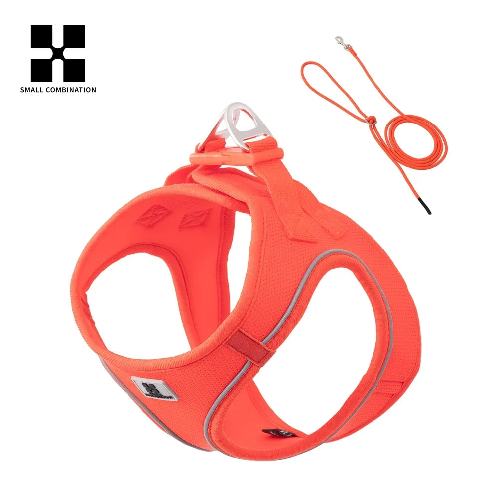 Dog Harness Leash Set Reflective Padded Vest All Seasons Outdoor Walking Gift Idea