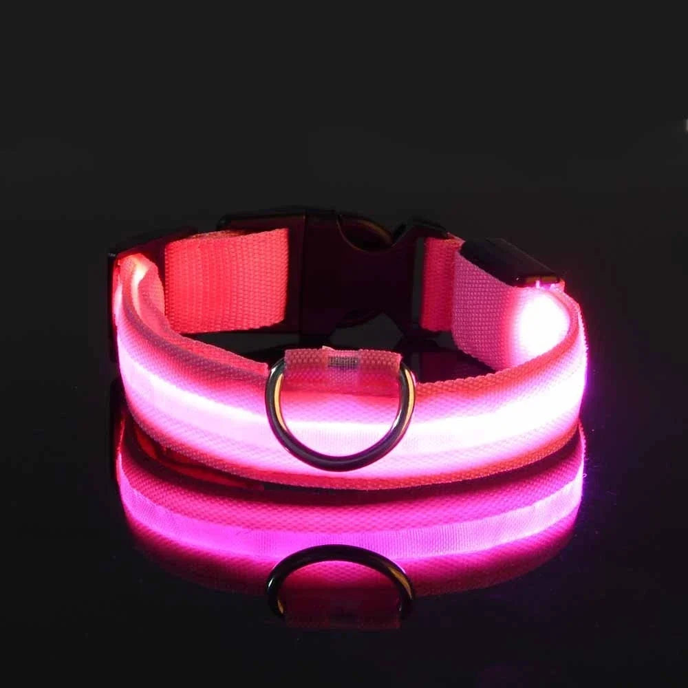 LED Dog Collar Glow In The Dark Night Safety Luminous Fall 2026 Trend Perfect Gift Idea