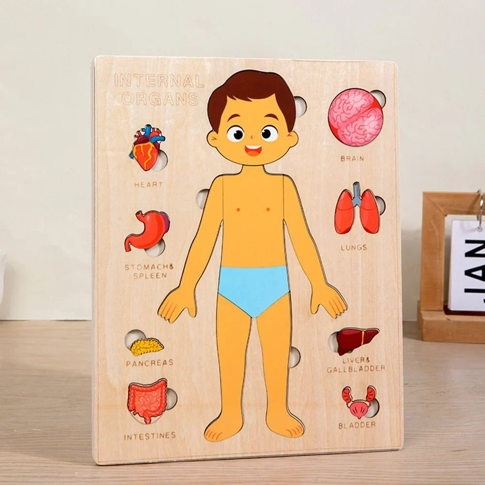 Montessori Human Anatomy Jigsaw Puzzle for Kids, 10 Pieces Educational Toy, Interactive Learning Tool, Non-Toxic Wood, 12 x 9 Inches