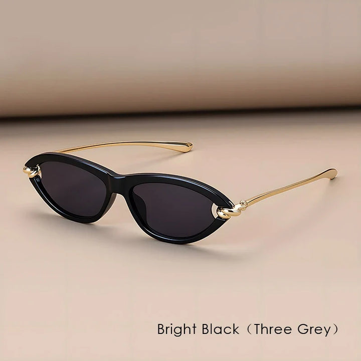 Sunglasses Cat Eye Style UV400 Protection For Everyday Wear Fall 2026 Fashion Trend Glasses