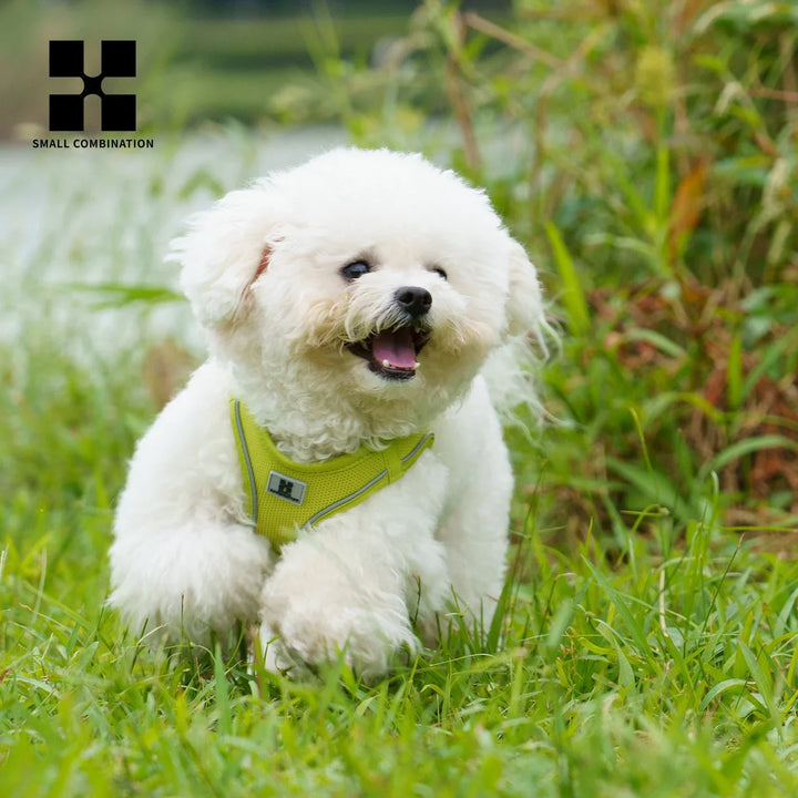 Dog Harness Leash Set Reflective Padded Vest All Seasons Outdoor Walking Gift Idea