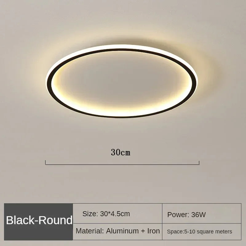 LED Ceiling Light Nordic Minimalist Circular with Remote Control Energy Efficient Home Decor TikTok Viral Fall 2026