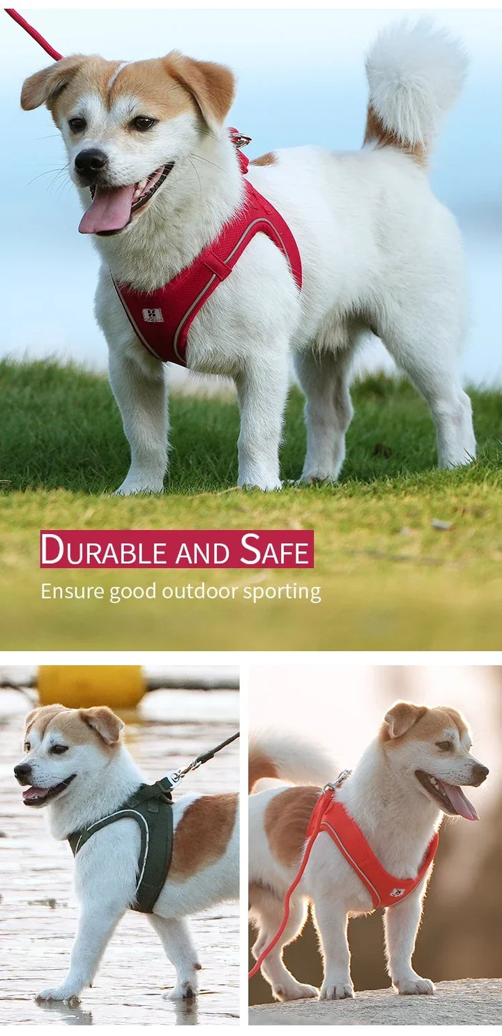 Dog Harness Leash Set Reflective Padded Vest All Seasons Outdoor Walking Gift Idea