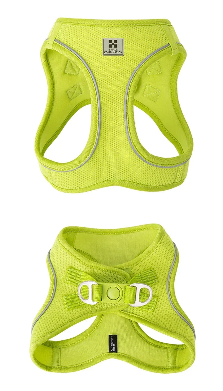 Dog Harness Leash Set Reflective Padded Vest All Seasons Outdoor Walking Gift Idea
