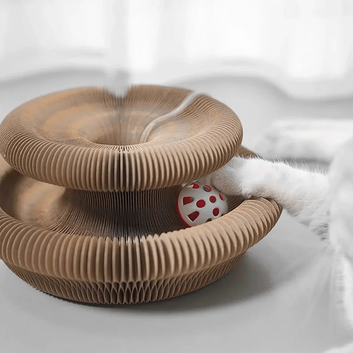 Foldable cardboard cat scratcher with catnip and bell – multi-level kitten claw toy 2026