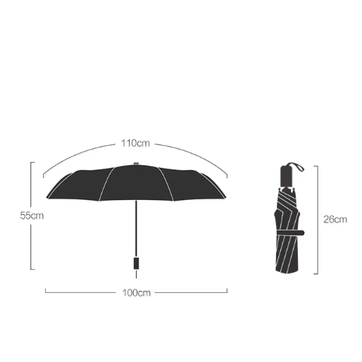 Korean Style Folding Umbrella with Cherry Blossom Design