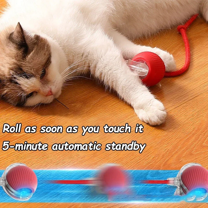 Fruit Interactive Cat Ball Toy - Automatic Rolling Rechargeable Smart Dog &amp; Cat Electric Toy