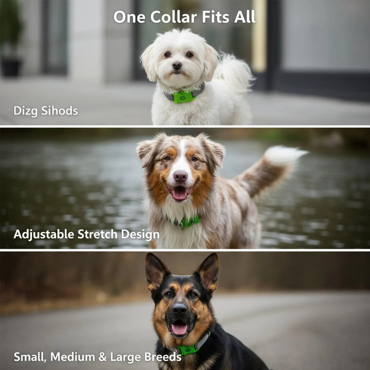 Natural Extract Pet Flea &amp; Tick Repellent Collar Tag Dogs Cats All Seasons Safe Wearable