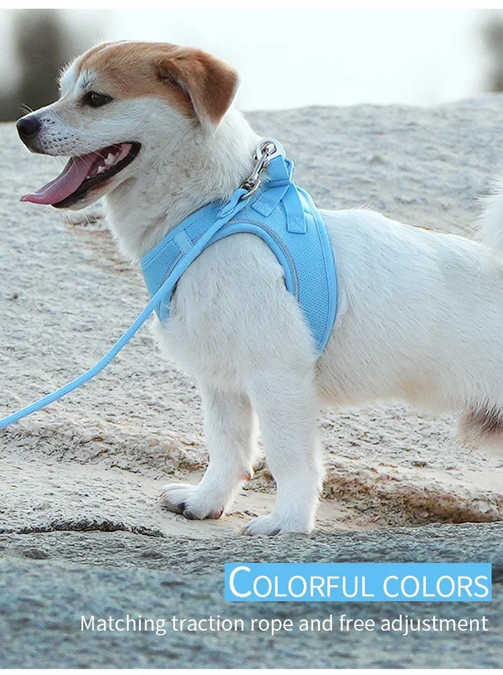 Dog Harness Leash Set Reflective Padded Vest All Seasons Outdoor Walking Gift Idea