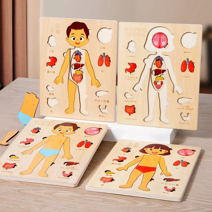 Montessori Human Anatomy Jigsaw Puzzle for Kids, 10 Pieces Educational Toy, Interactive Learning Tool, Non-Toxic Wood, 12 x 9 Inches