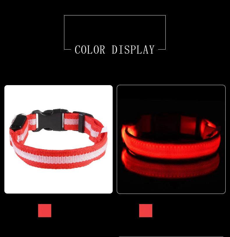 LED Dog Collar Glow In The Dark Night Safety Luminous Fall 2026 Trend Perfect Gift Idea