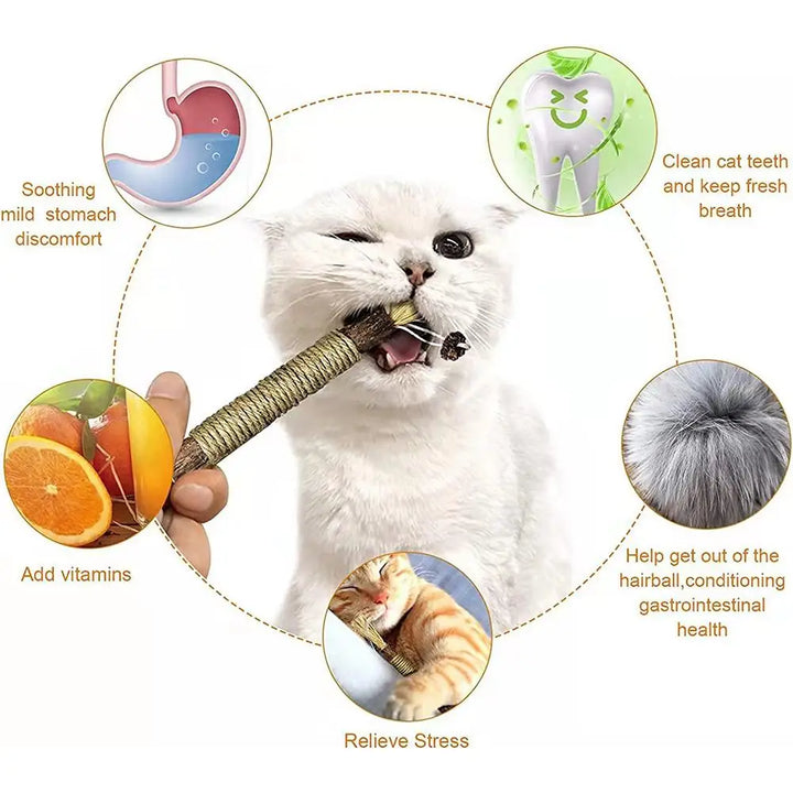 Natural Silver Vine Cat Dental Chew Rod - Bite-Resistant Matatabi Teeth Cleaning Toy