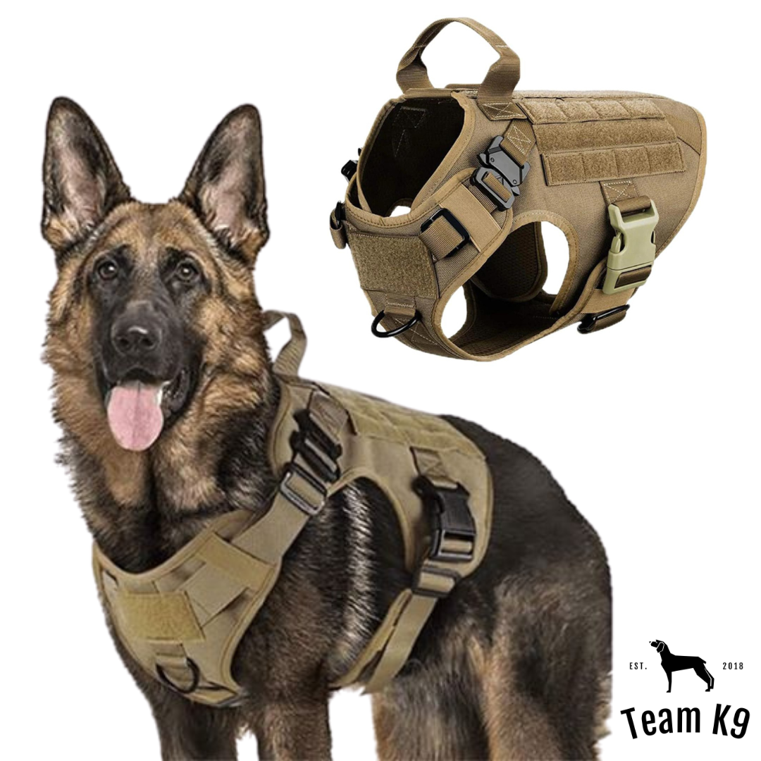 Tactical Dog Harness System All-In-One Training Bundle No-Pull Harness MOLLE Pouches Travel Water Bowl Holiday 2025