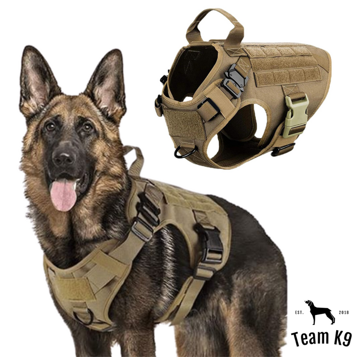 Tactical Dog Harness System All-In-One Training Bundle No-Pull Harness MOLLE Pouches Travel Water Bowl Holiday 2025